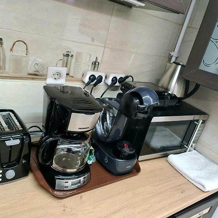 Apartament Gradina Botanica Premium Craiova Extérieur photo
